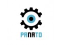 WSS PANATO